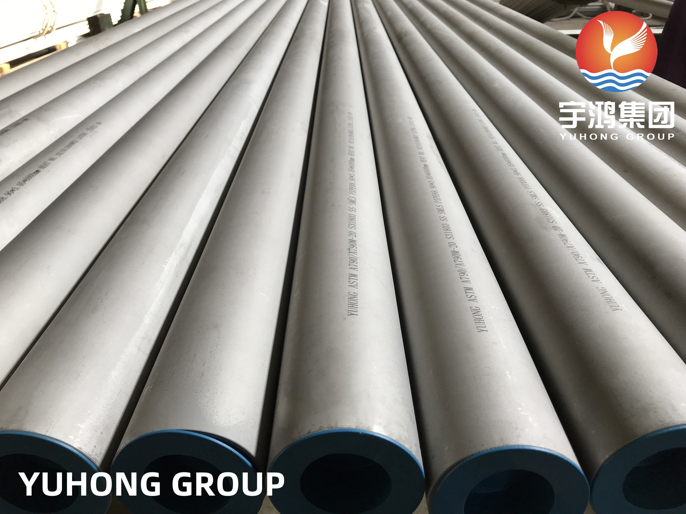 Duplex Stainless Steel Pipe/Tube for Sale
