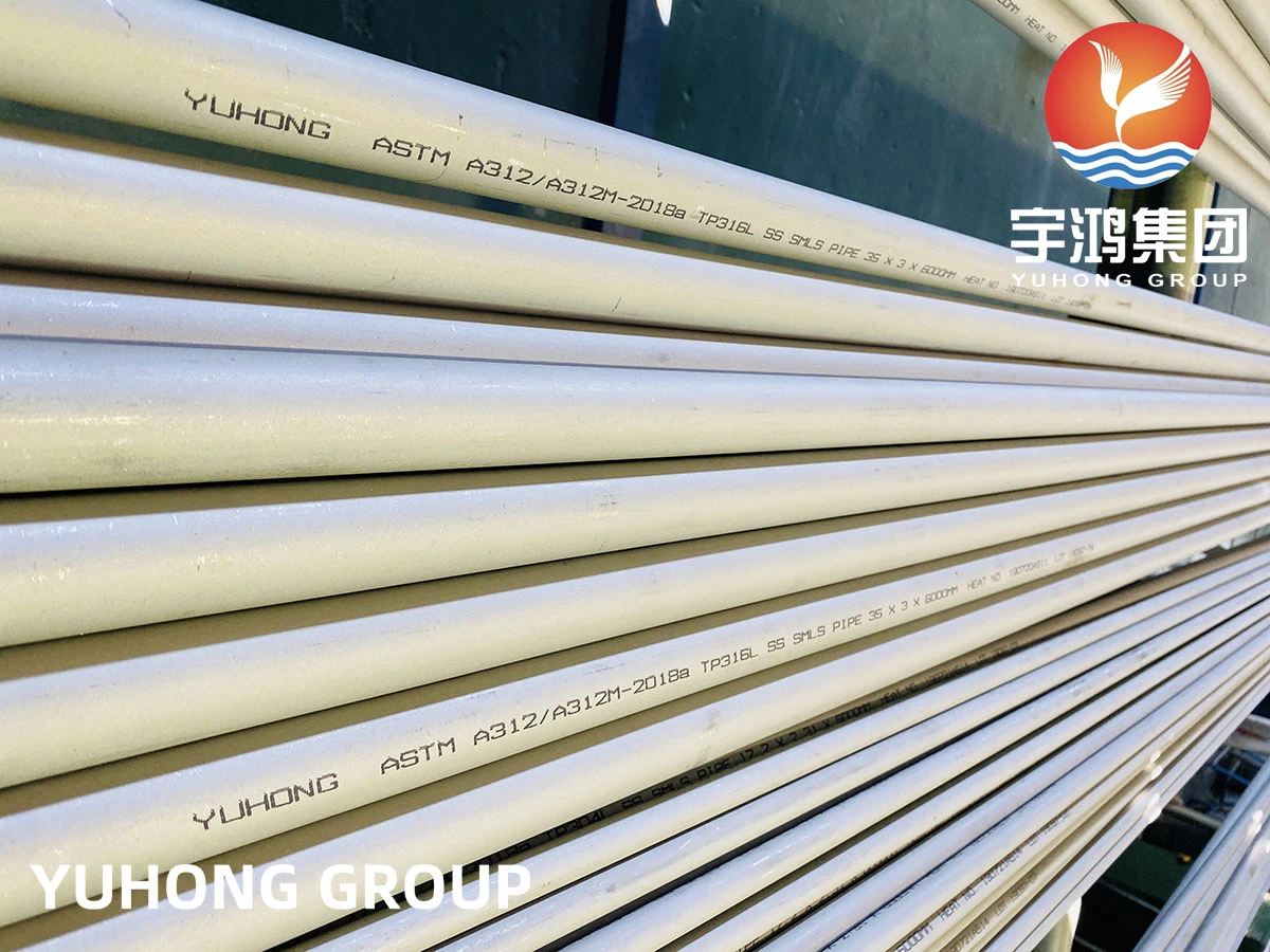 Stainless Steel Pipe/Tube